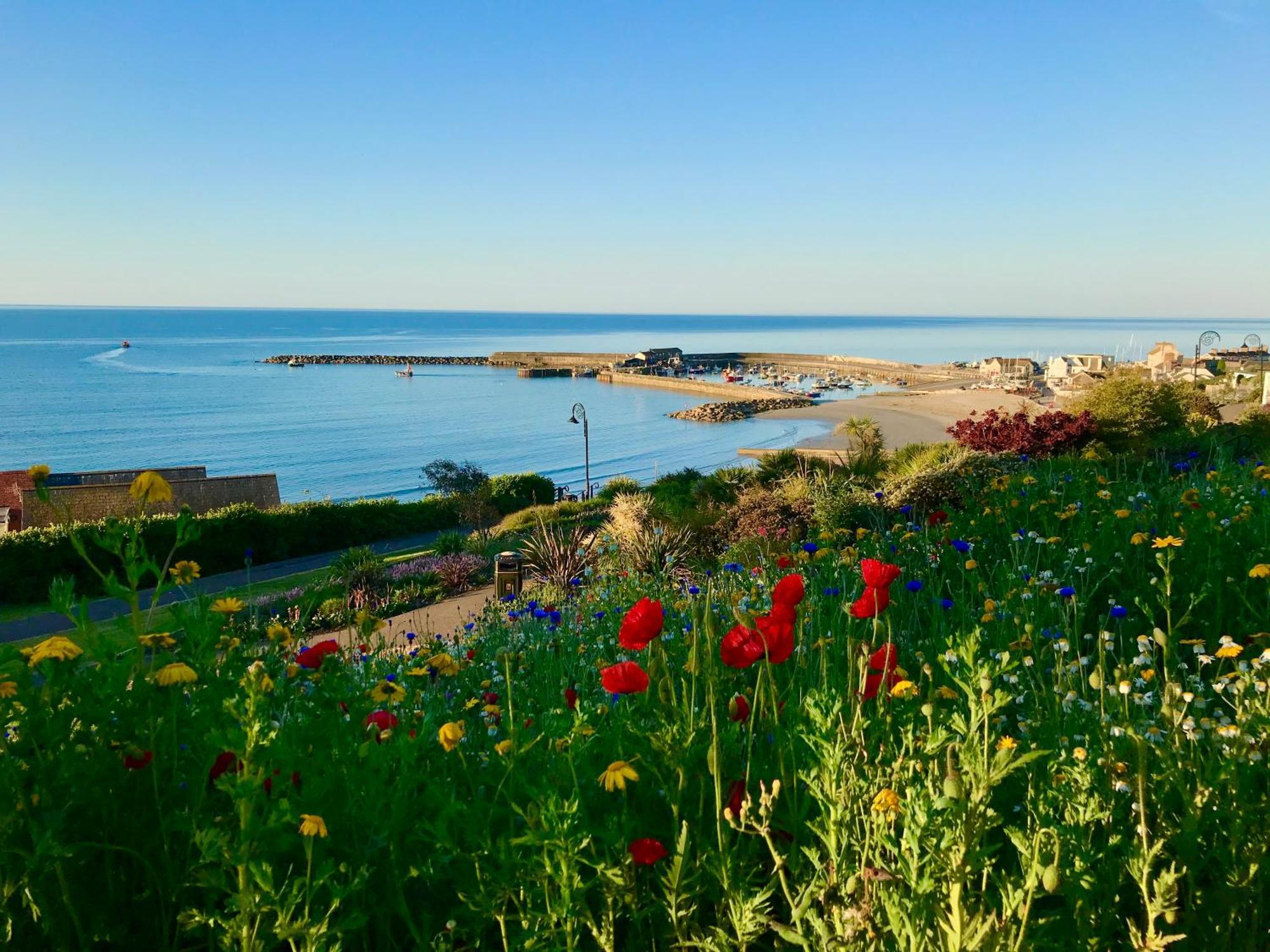 Lyme Regis Renovated Period Seaside Flat公寓 外观 照片